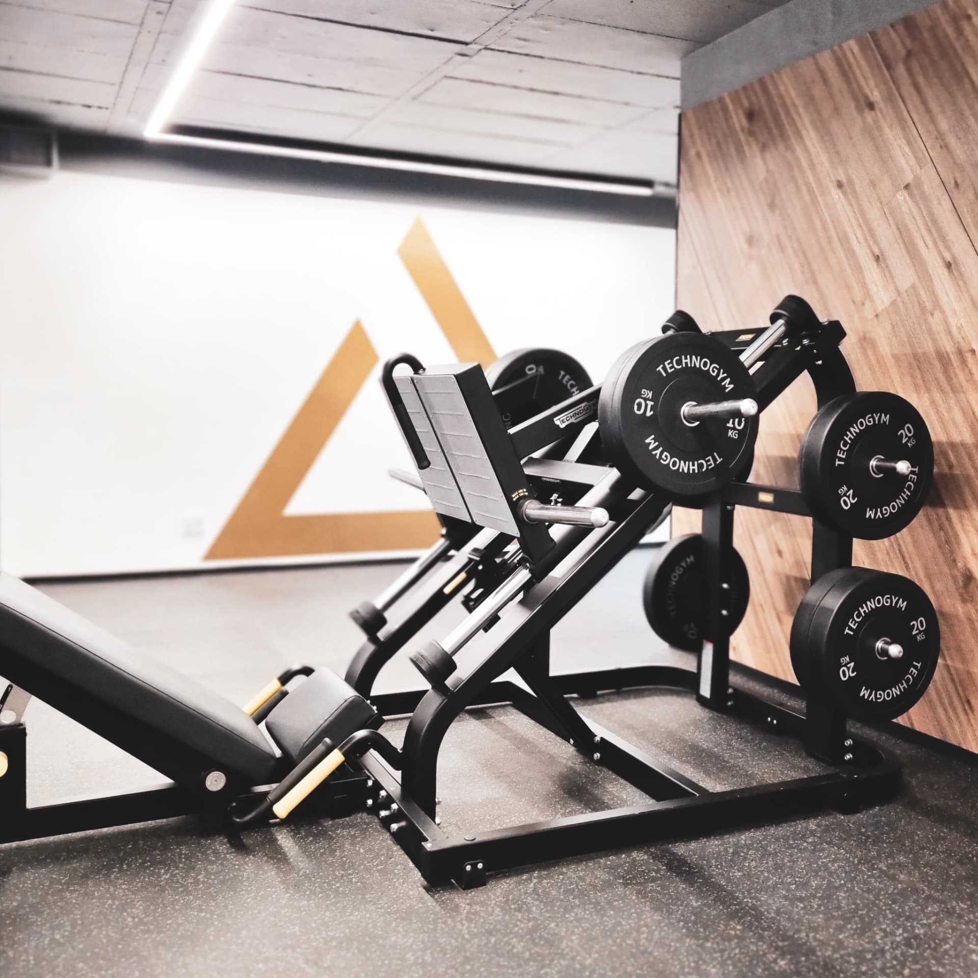 Plate-loaded machines at Aspire Fitness