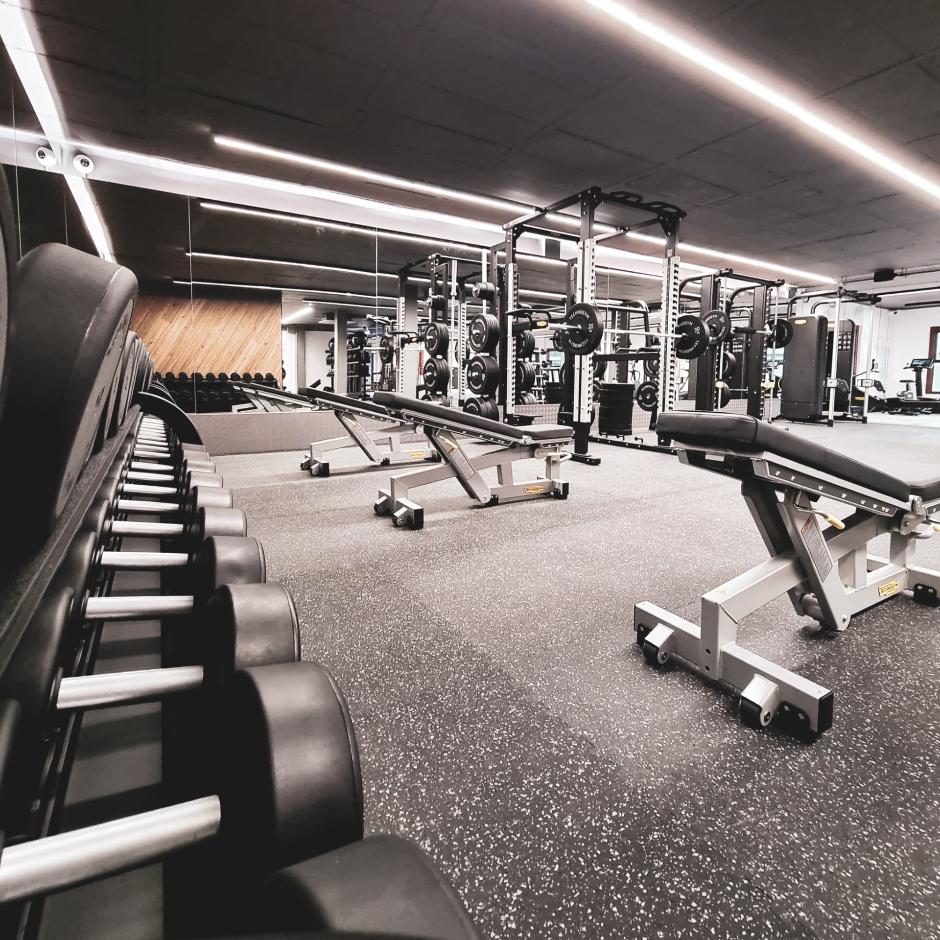 Free weights & racks at Aspire Fitness